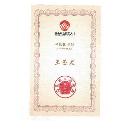 喜報(bào) | 青島佳恩半導(dǎo)體總經(jīng)理王丕龍榮獲“泰山產(chǎn)業(yè)領(lǐng)軍人才”稱號